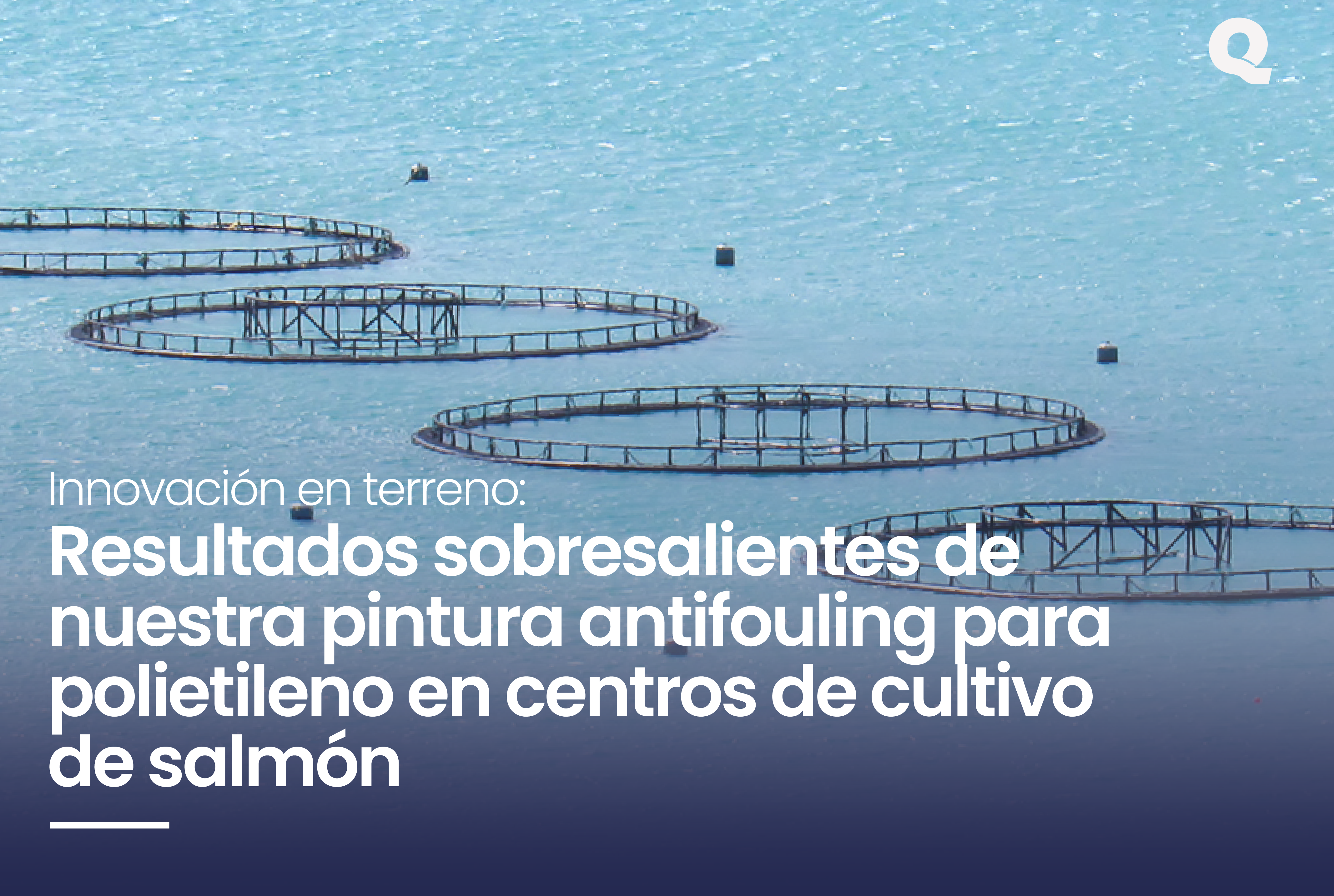 pinturas antifoulign para redes de cultivo de salmon